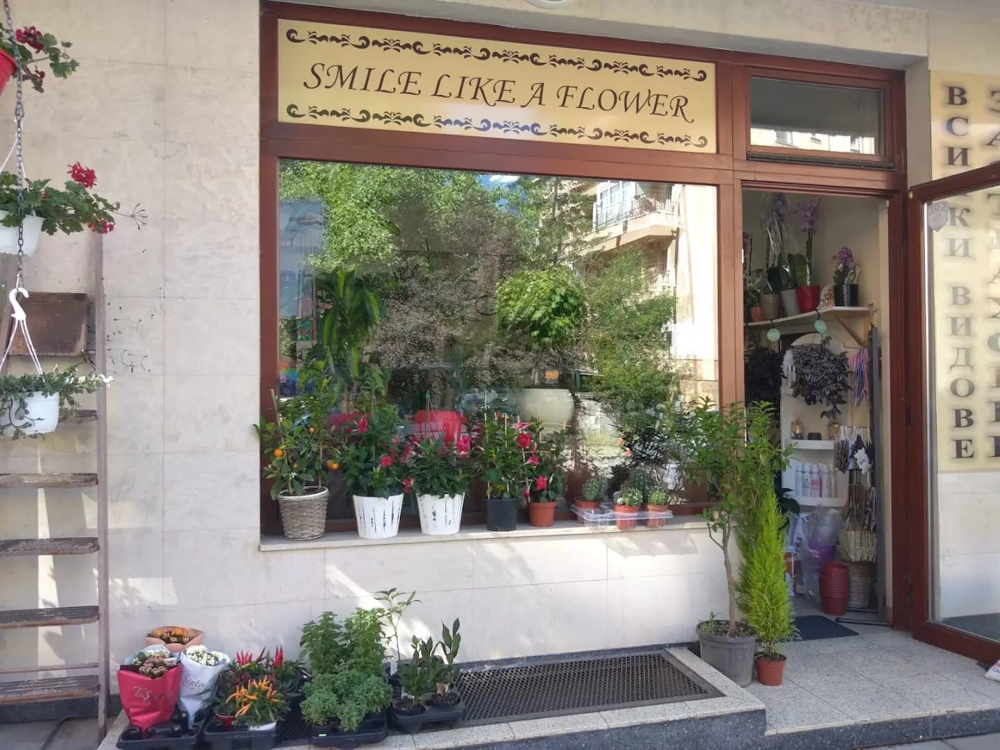 Smile Like A Flower