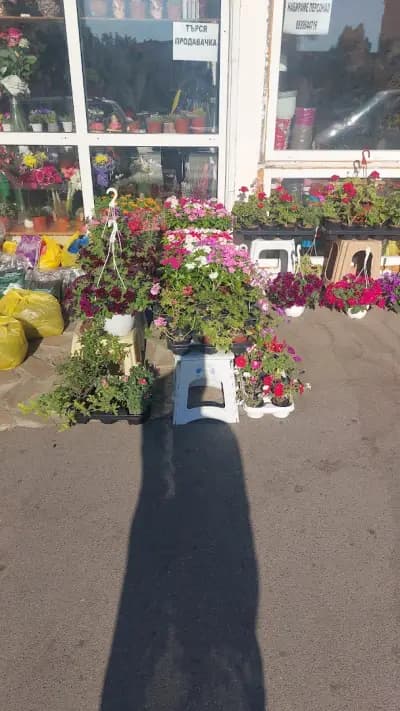 Доставка на цветя в София Fresh Flowers
