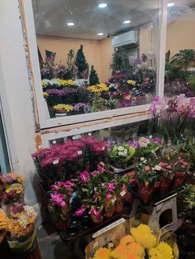 Доставка на цветя в София Fresh Flowers