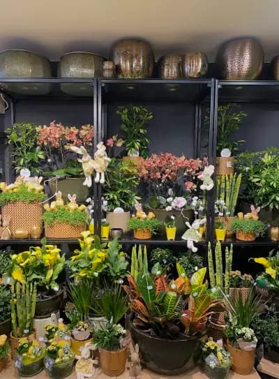GEBOV Flowers