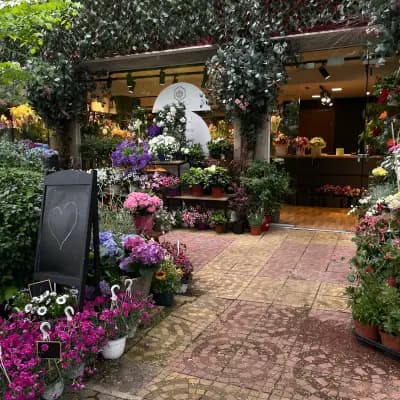 GEBOV Flowers