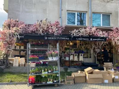 GEBOV Flowers