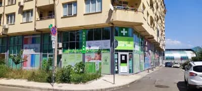 Аптека Дървеница