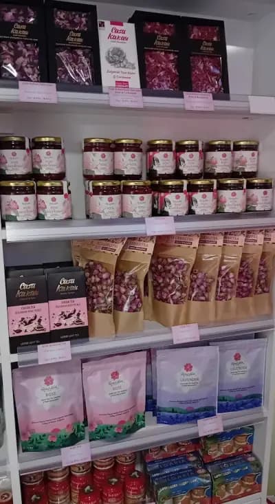 Bulgarian Rose - Company Store
