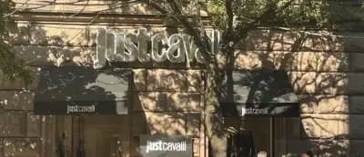 Just Cavalli