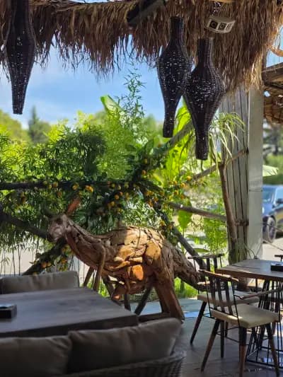Umbrella Bar