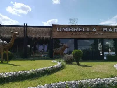 Umbrella Bar