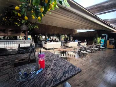 Umbrella Bar