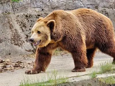 Зоологическа градина на София