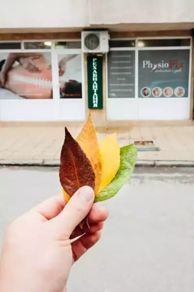 PhysioFix | Физио Фикс - Рехабилитация | Масажи | Мануален Лимфен Дренаж | Рехабилитация по домовете | гр. Пловдив