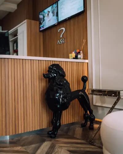 Hotel BLVD 7
