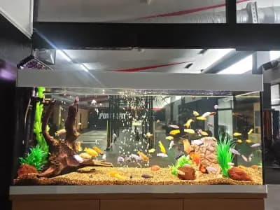 PowerFit Plovdiv