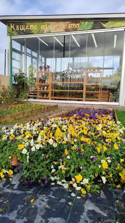 HOME AND GARDEN