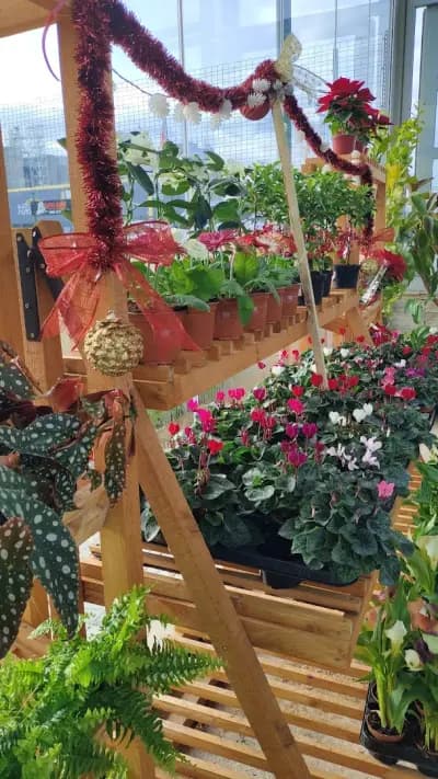 HOME AND GARDEN
