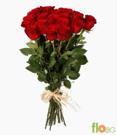 Flo.BG