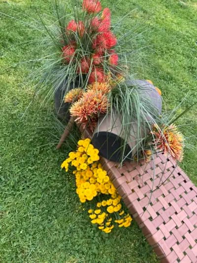 LIZIANTUS FLOWERS BOUTIQUE