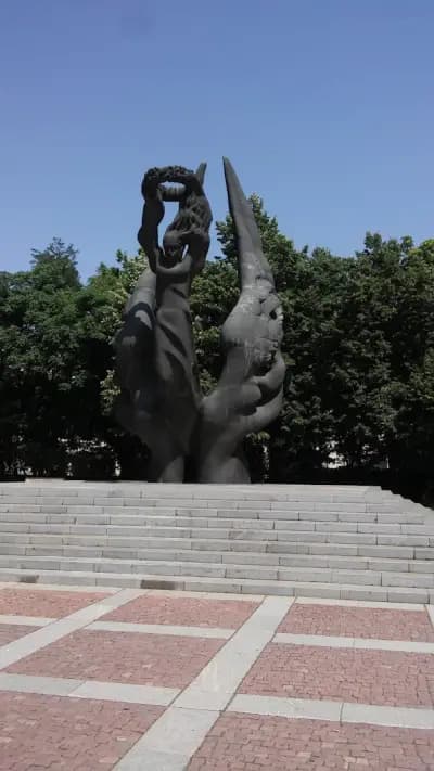 Витафикс
