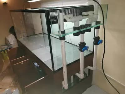 Aquariumprime | Магазин за аквариуми Пловдив | Аквариуми | Храна за рибки | Растителност | Филтри | Аксесоари