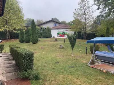 ZelinCamp