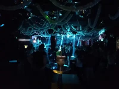 Club Pasha | Нощен клуб Пловдив | DJ парти | Алкохолни напитки | Гостуващи изпълнители