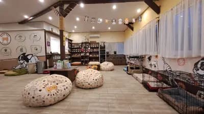 Bash Dog Bakery - Пловдив Смирненски