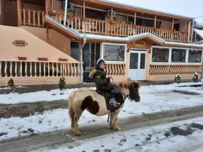 Къща за гости ''Димитрови''
