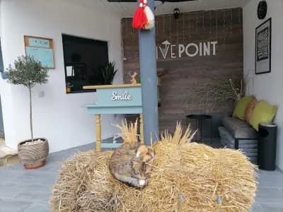 Drive Point (Adventure Lake Resort)