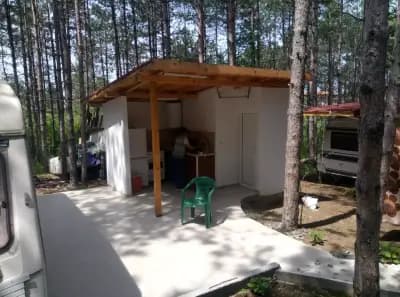 Бора