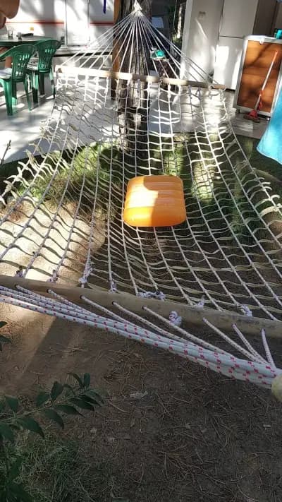 Бора