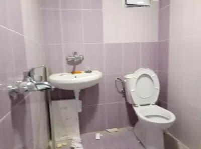 Бора
