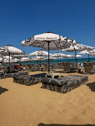 Olive Villas- Free beach access & Free parking