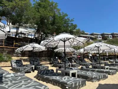 Olive Villas- Free beach access & Free parking