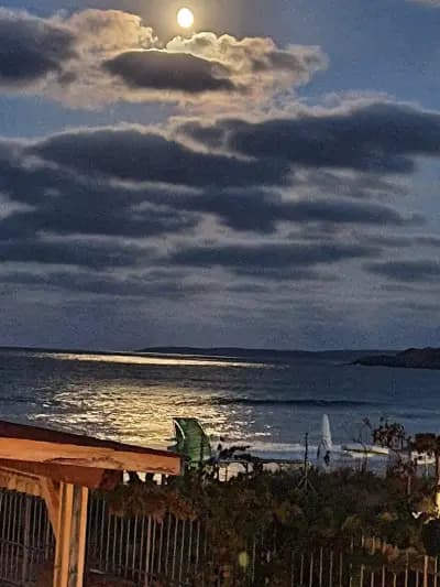 Hotel Marina, kavacite
