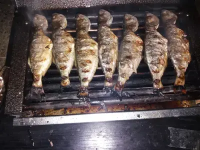 Къща за гости Оазис