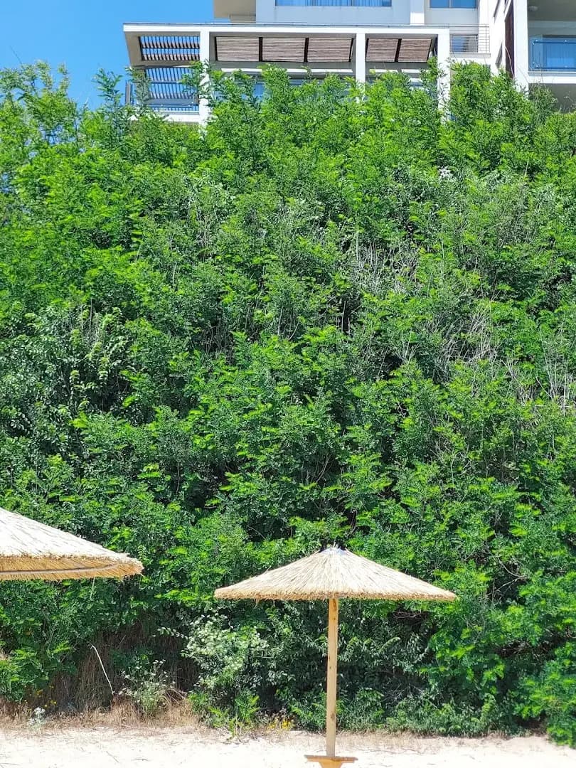 Mechta Family Hotel