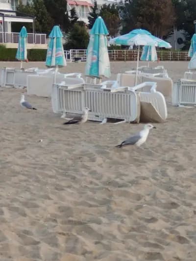 Къща за Гости Галема
