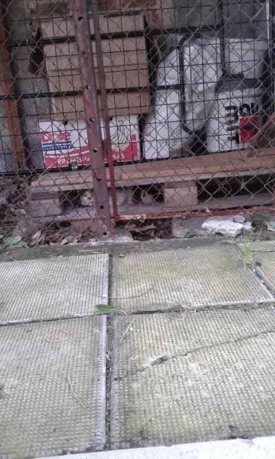 Семеен хотел "Наси" - Несебър