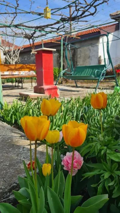 Вила Йова Роза / Villa Yova Roza