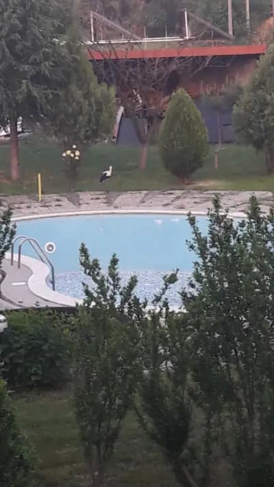 Кошарица,база Helena Resort