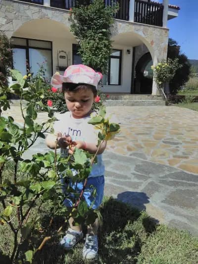 Кошарица,база Helena Resort