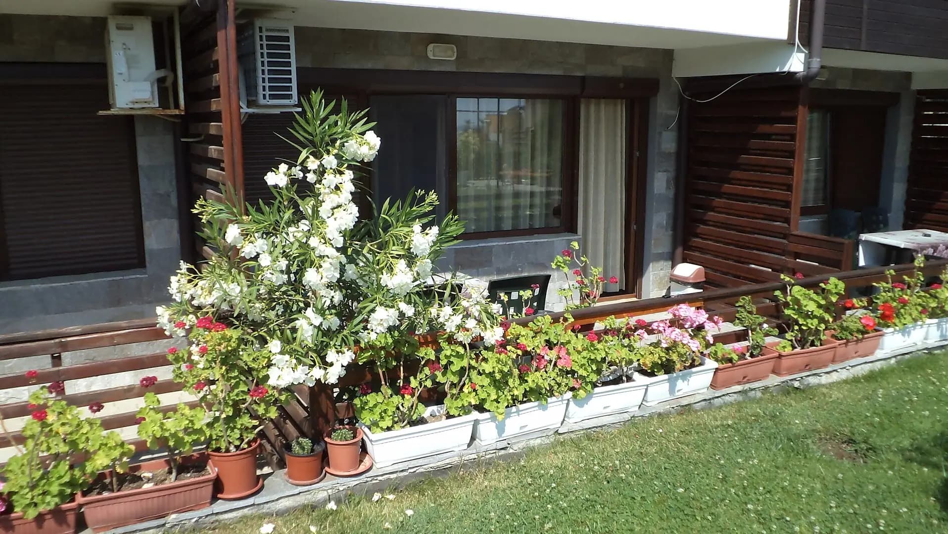 Apartments in Sunny Hill 3 Guest House