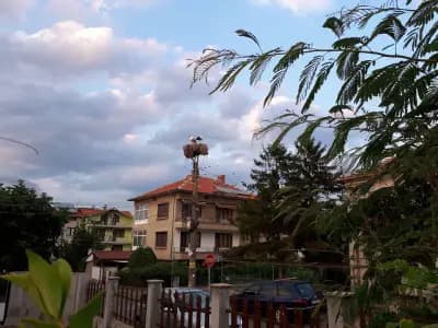 Сотирови, самостоятелни стаи