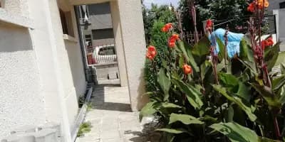 Сотирови, самостоятелни стаи