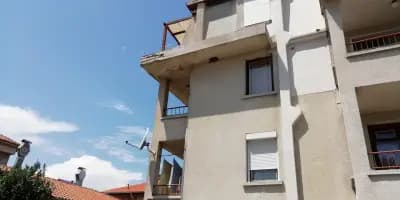 Сотирови, самостоятелни стаи