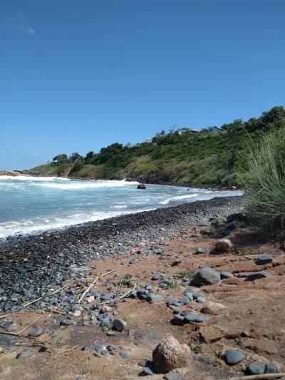 Сотирови, самостоятелни стаи