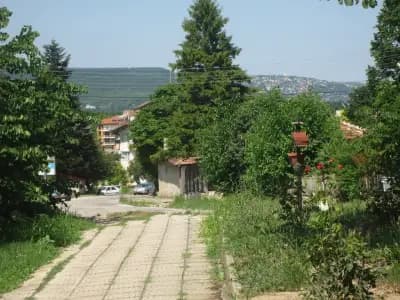 Комплекс Златното Пиле