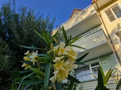 Guesthouse Sunny Dream