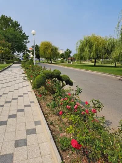 КЪща за гости Дом Барбов