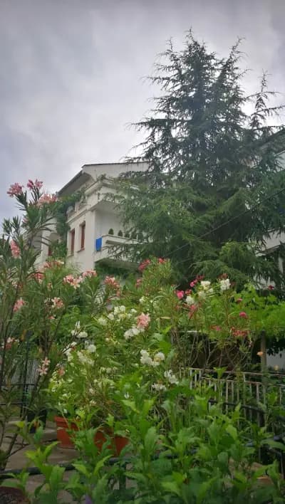 КЪща за гости Дом Барбов