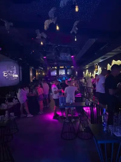Bamboo Premium Live Club